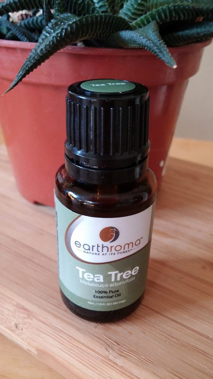 Frasco de aceite esencial de Melaleuca alternifolia