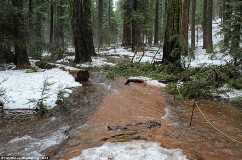 Río desbordado en Sierra Nevada californiana durante un temporal invernal