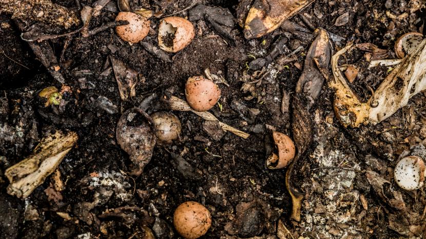 Compost maduro para enmendar la tierra de plantación