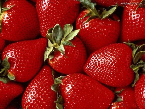 Fresas maduras listas para recolectar
