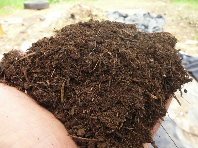 Estiércol y compost usados como abono natural para frutales