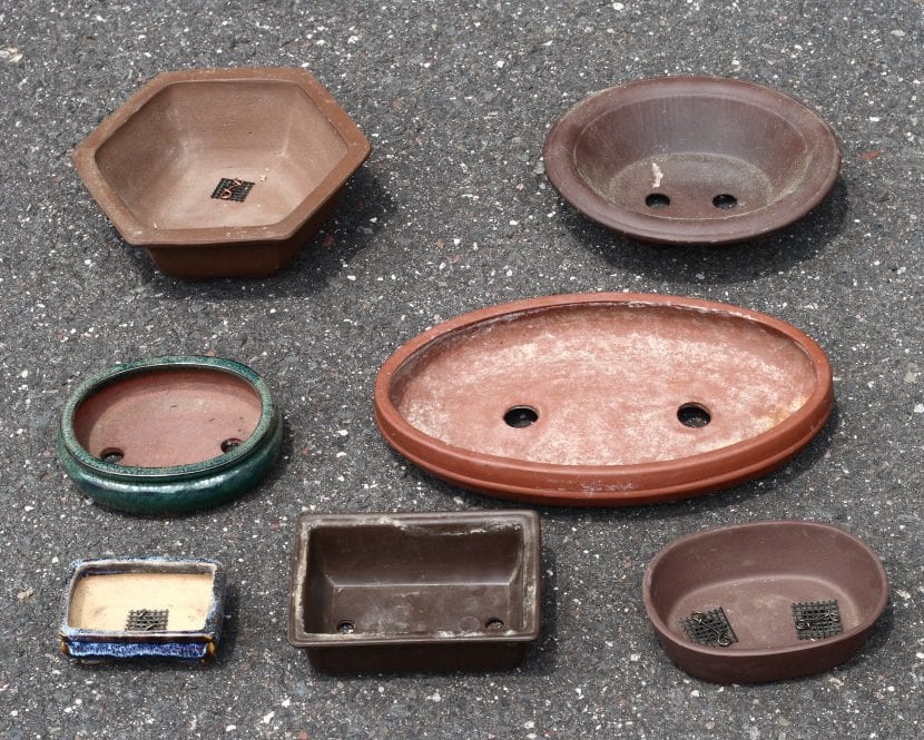 Surtido de macetas para bonsái de distintas formas, colores y acabados