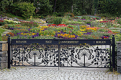 Carpas para jardin: plegable o fija, y como anclarla