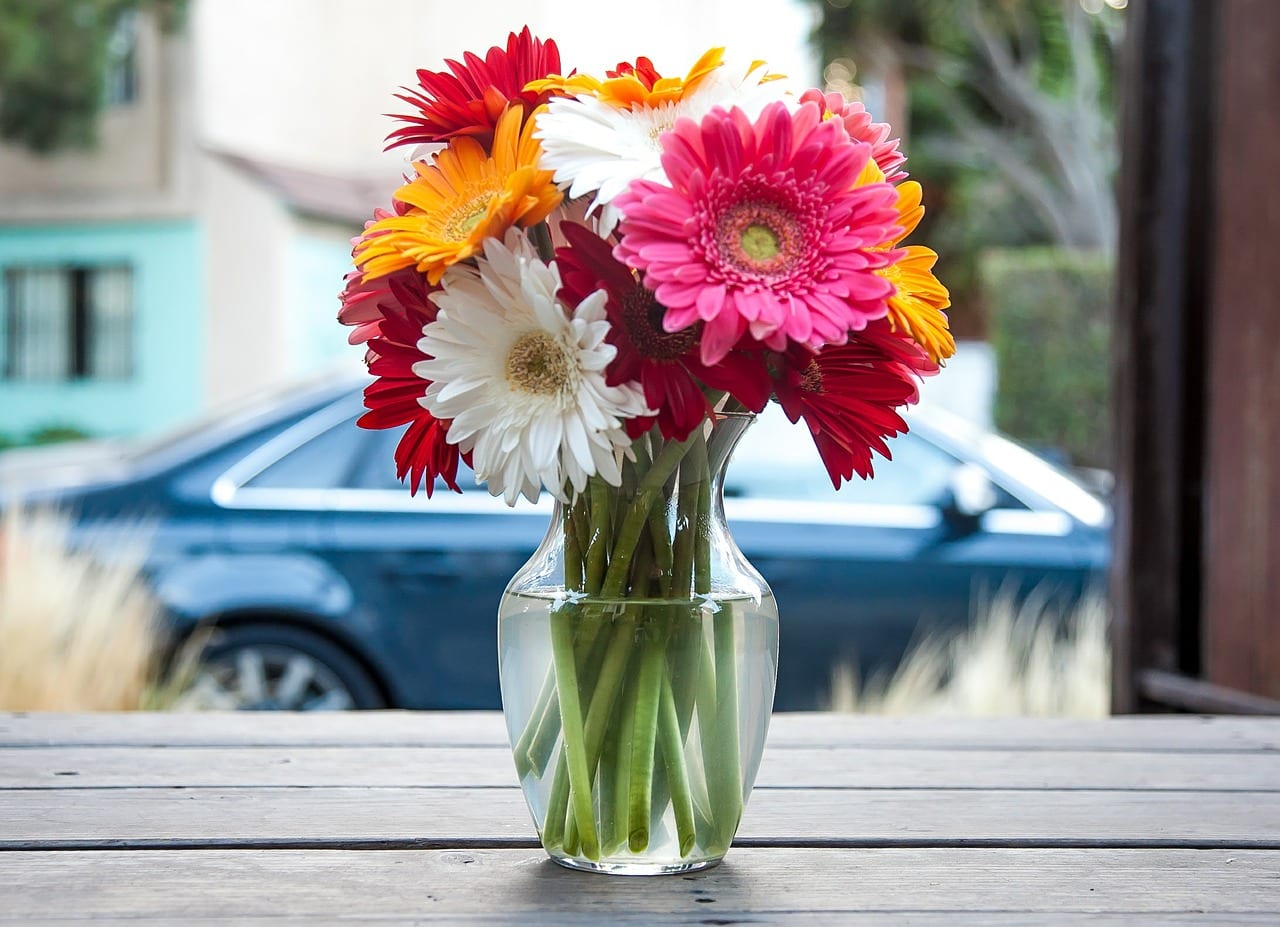 Regalar flores a una amiga: qué elegir y qué evitar