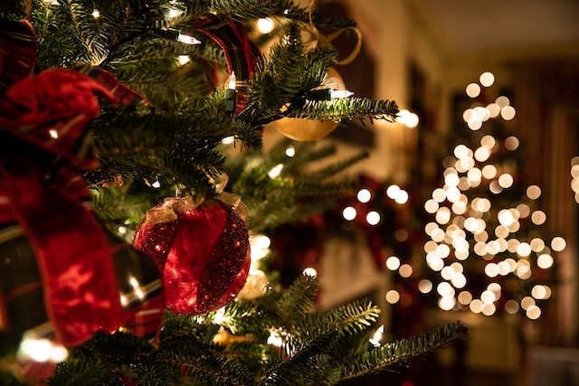 Rama de abeto con bola roja y luces navideñas