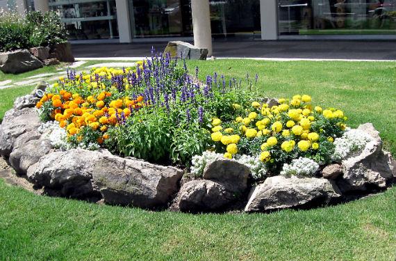 Jardín pequeño con parterres estrechos y pavimento claro