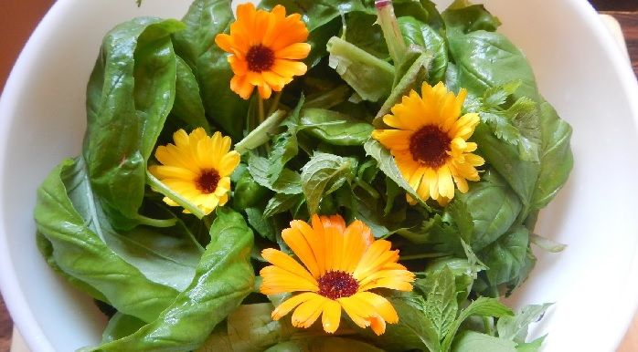 Ensalada con flores de caléndula amarillas y naranjas