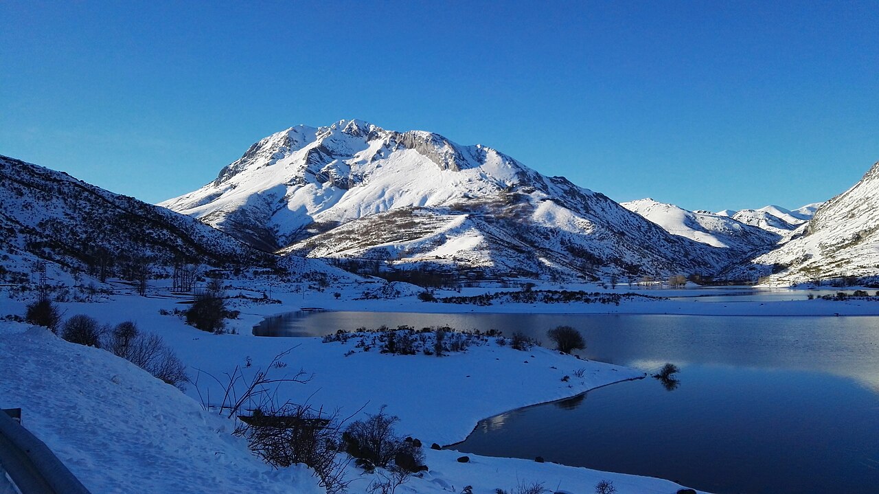 Flores de montaña: cómo viven y dónde verlas