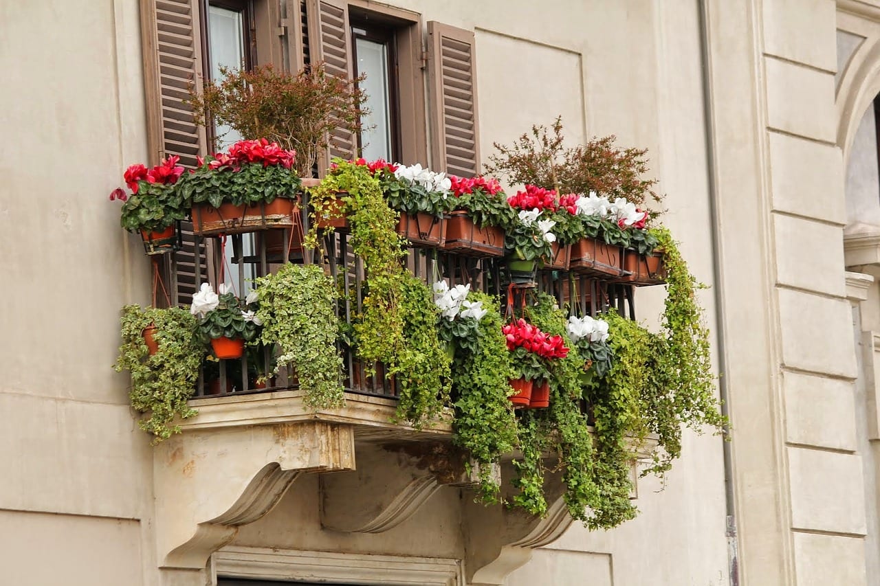 Flores para balcones: qué plantar según sol, viento y maceta