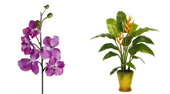 Flores para regalar a un hombre: cuáles duran y acierta