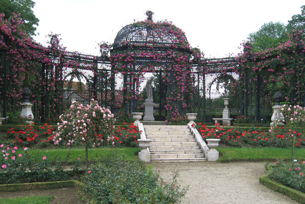 Jardinera con celosía: cómo elegirla y qué trepadora poner