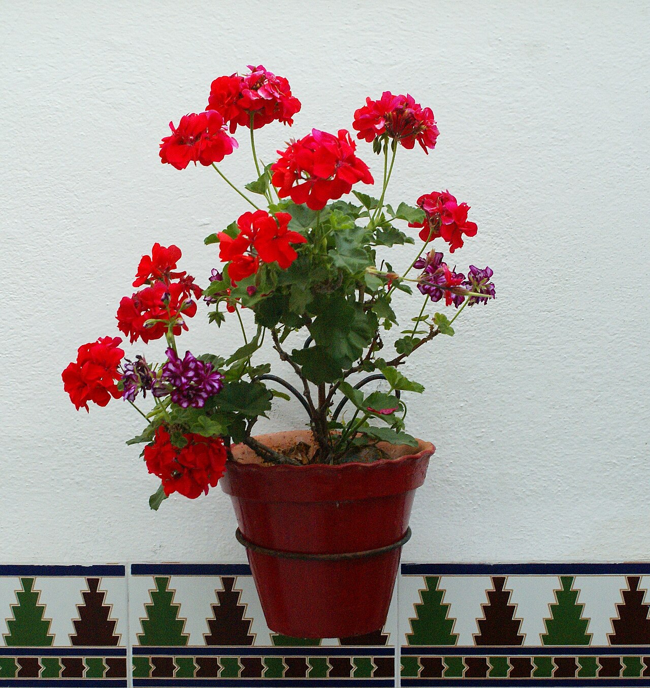 Macetas de pared: peso, anclaje y riego de un muro verde
