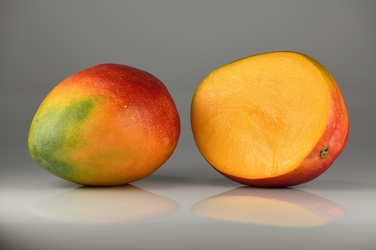 Mango: cómo es el árbol y dónde se cultiva en España