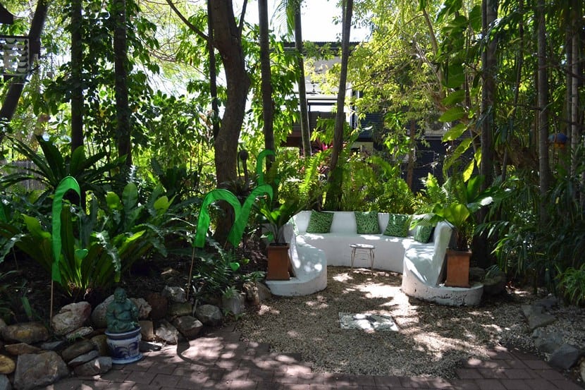 Jardín en media sombra con vegetación de sotobosque