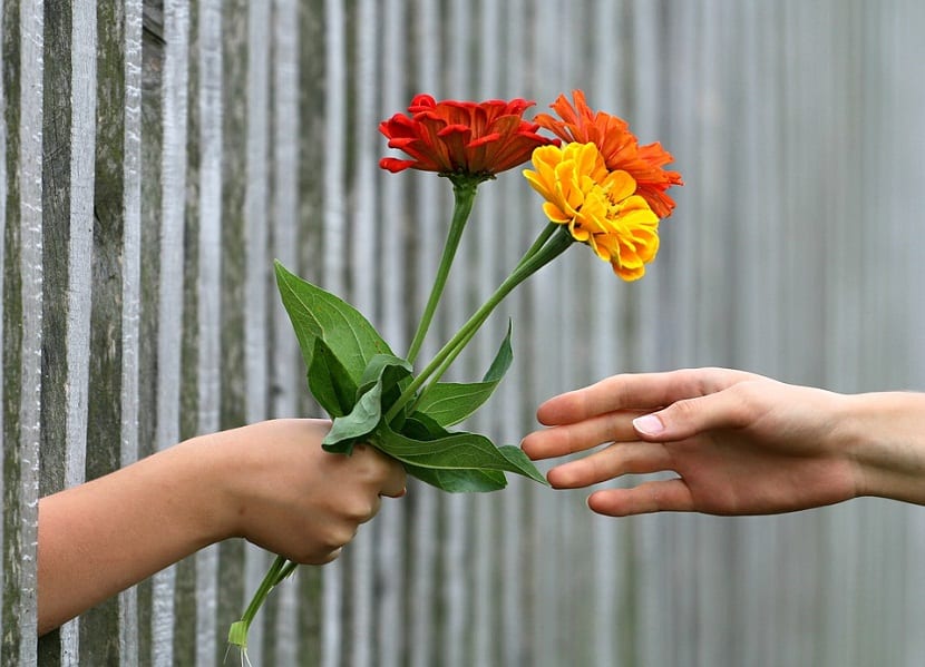 Ramo de flores preparado para regalar