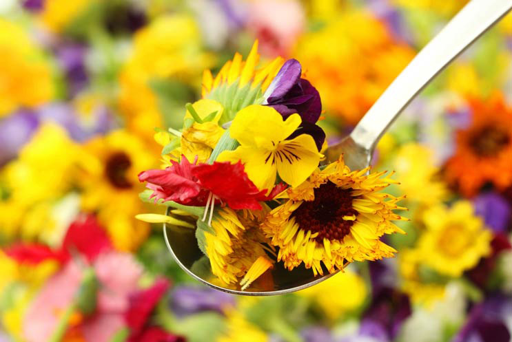 Cuchara con pétalos y flores comestibles de varios colores