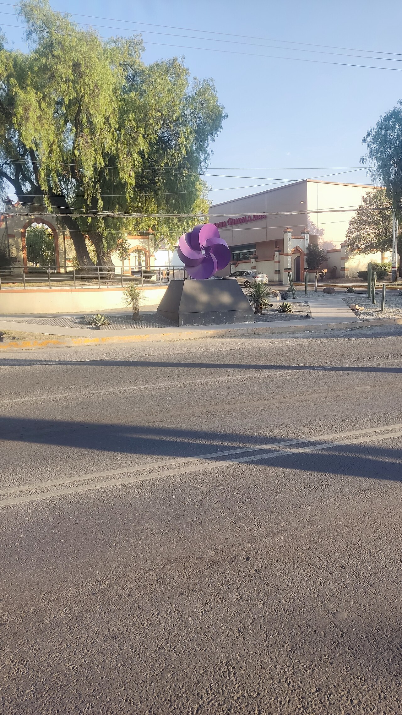 Rosa del desierto: es tóxica y no es una rosa