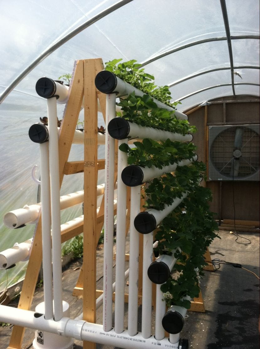 Sistema de cultivo hidropónico vertical en estructura en A