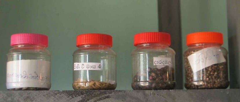 Frascos de un banco de semillas casero etiquetados