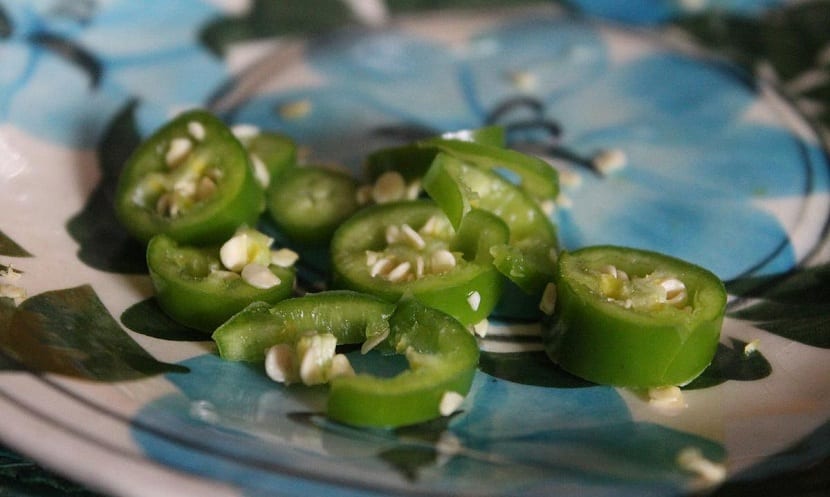 Chiles cuaresmeños verdes recién recolectados