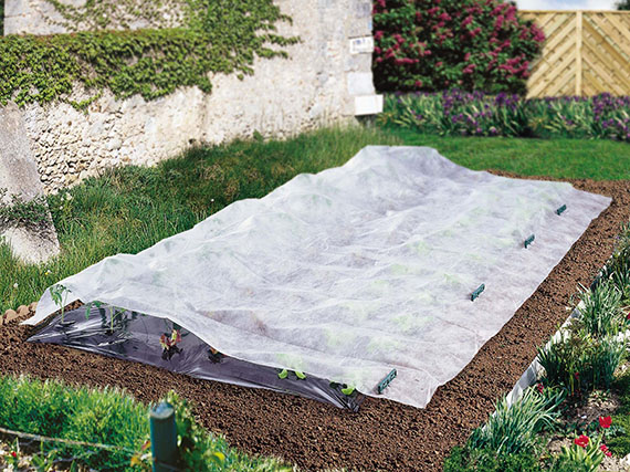 Cómo adelantar las siembras y cultivos