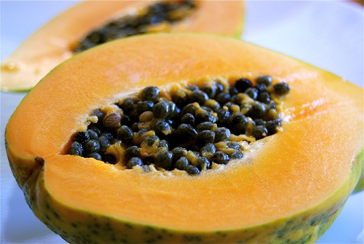 Cómo sembrar papaya: semillas, calor y trasplante