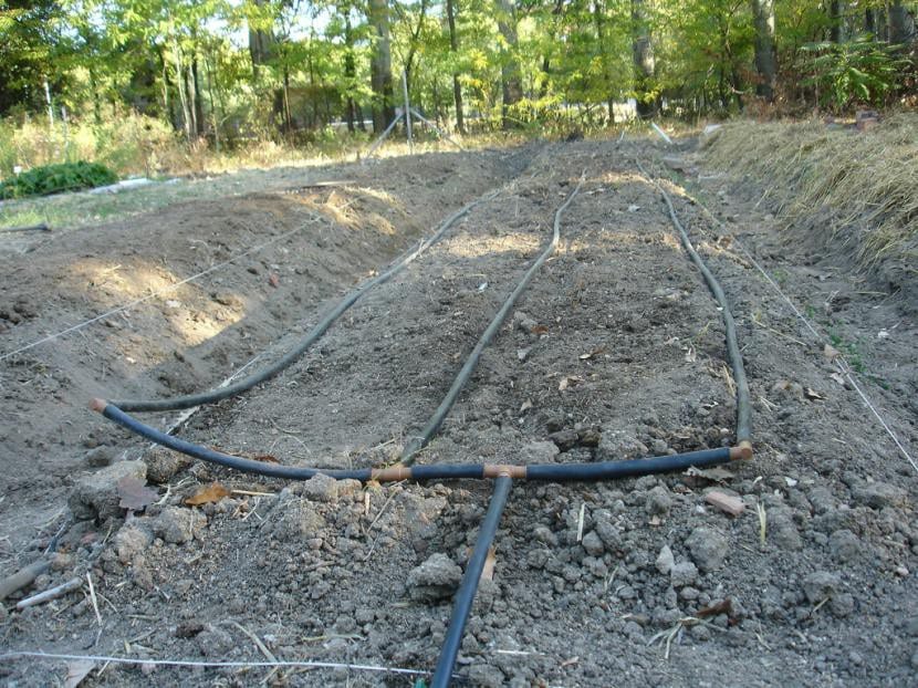 Sistema de riego por goteo instalado en el huerto