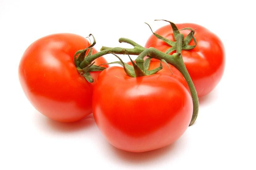 Tomates recolectados en el huerto de verano