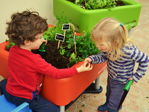Un minijardín de aromáticas (2ª parte)