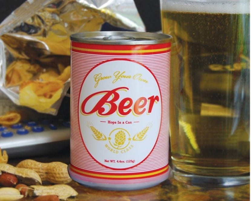 Semillas de lúpulo sembradas en una lata de cerveza reciclada