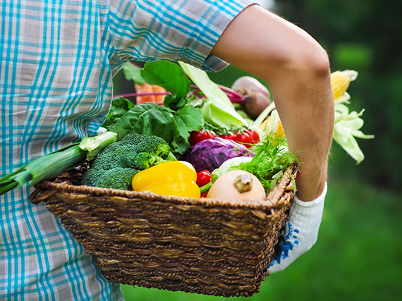 Los súper alimentos que puedes cultivar en casa