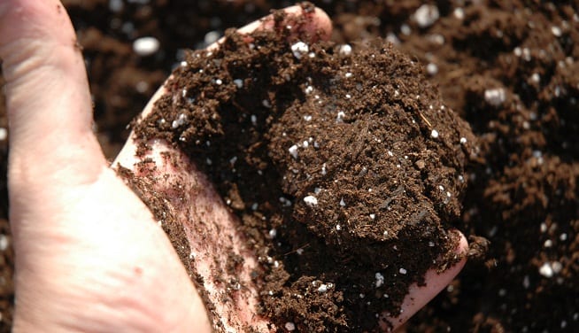 Mezcla de vermicompost y perlita preparada para llenar macetas