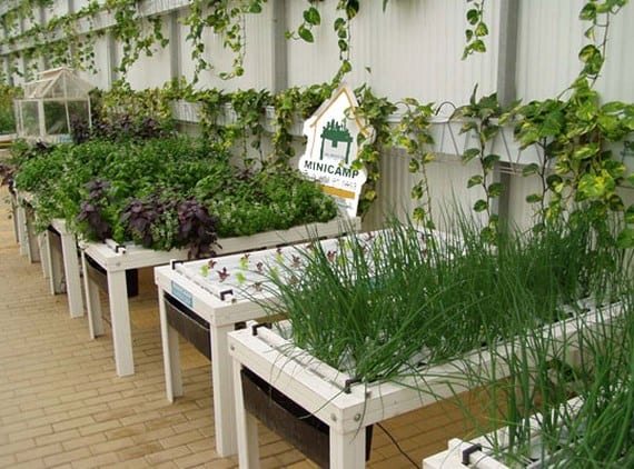 Mesa de cultivo elevada con hortalizas en una terraza