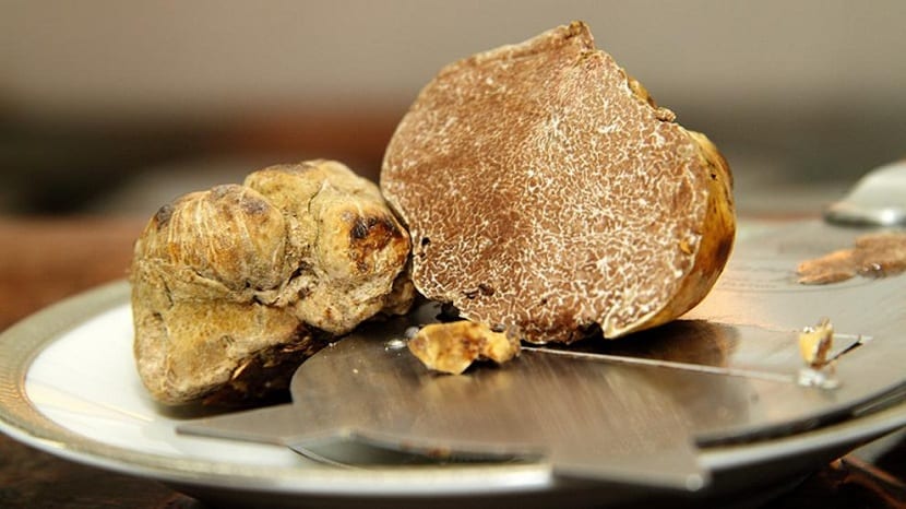 Interior de una trufa blanca con la gleba veteada