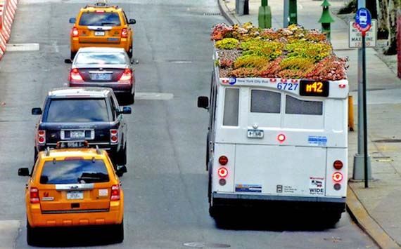 Autobús con cubierta vegetal en el techo, proyecto Bus Roots