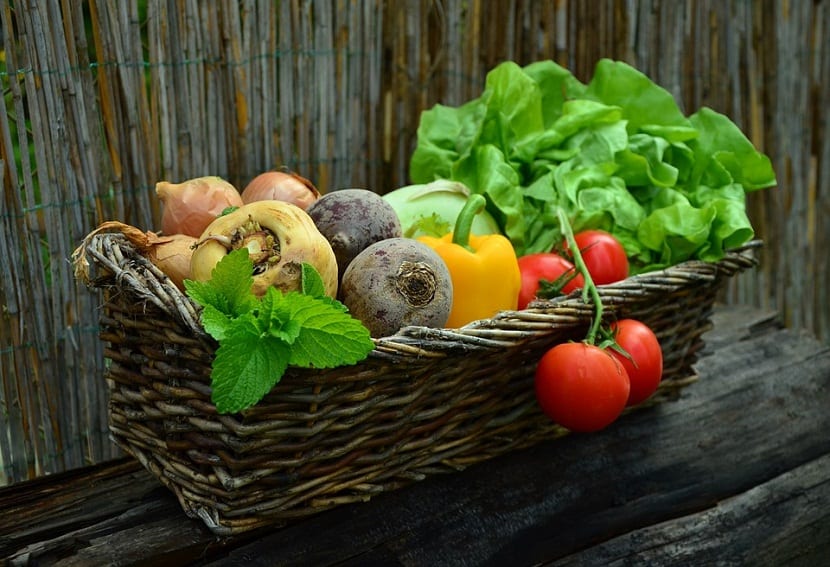 Cesta con hortalizas recién cosechadas del huerto