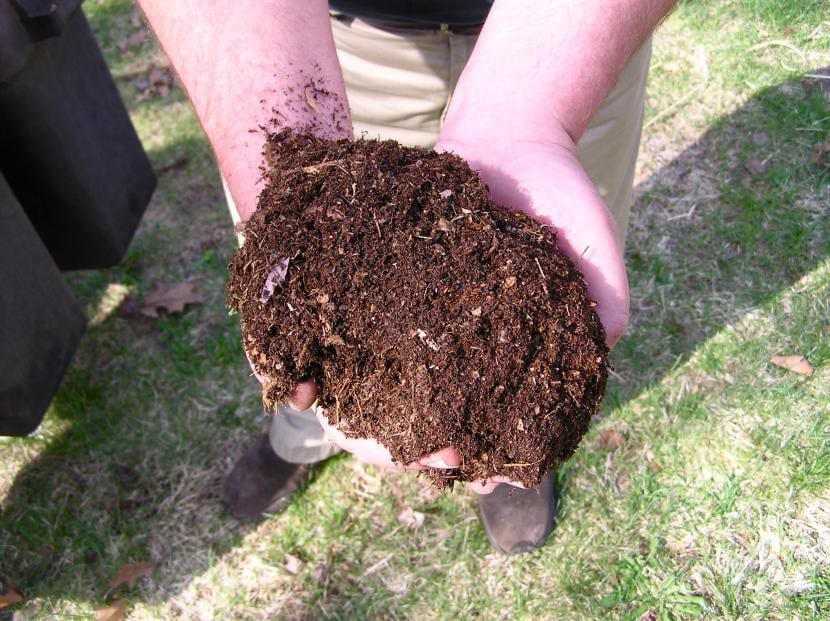 Compost casero elaborado con restos de cocina y de jardín