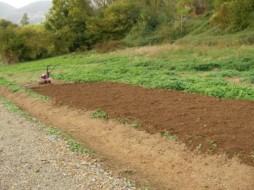 Preparación del terreno del huerto en invierno