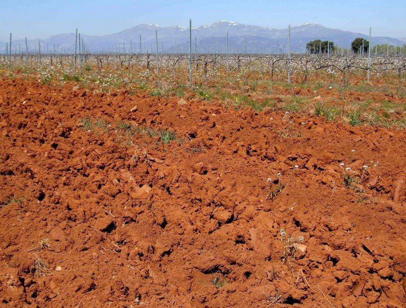 Suelo arcilloso agrietado con drenaje deficiente