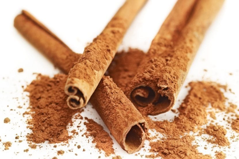 Canela en rama, usada como antiséptico en los cortes de los esquejes