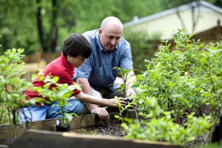 Padre e hijo trabajando juntos en el jardín
