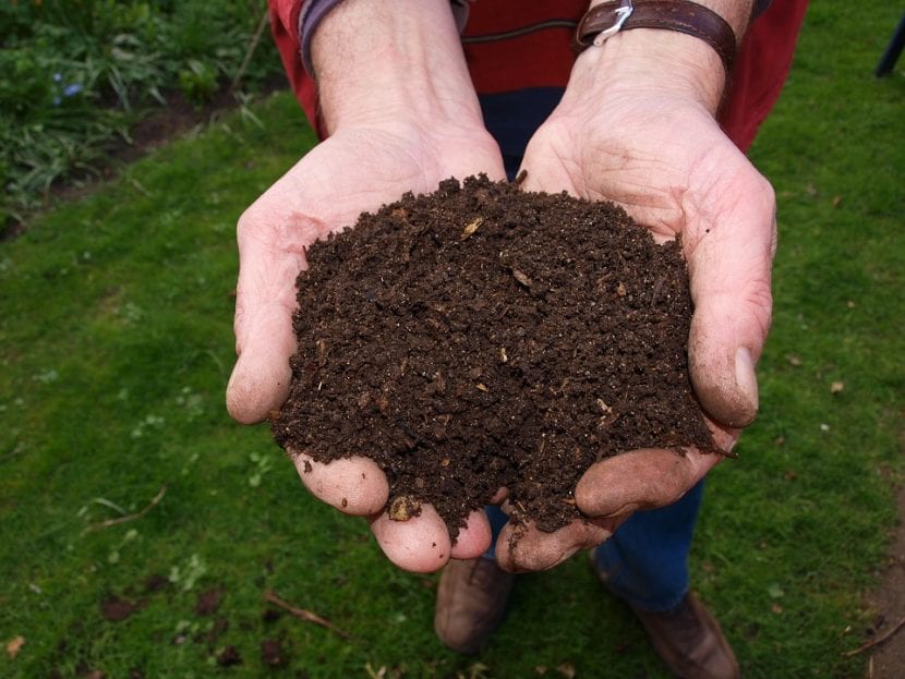 Estiércol compostado usado como abono orgánico