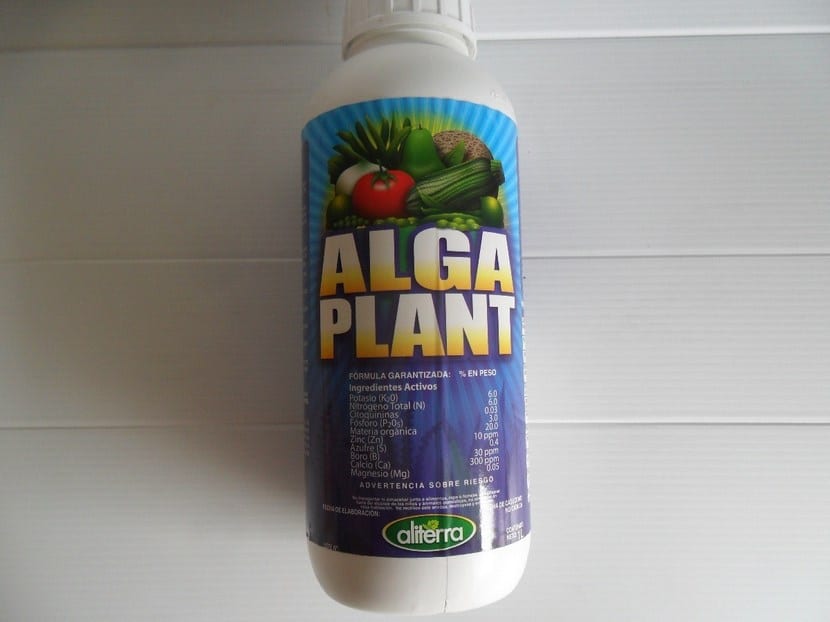Fertilizante líquido a base de extracto de algas para riego y aplicación foliar