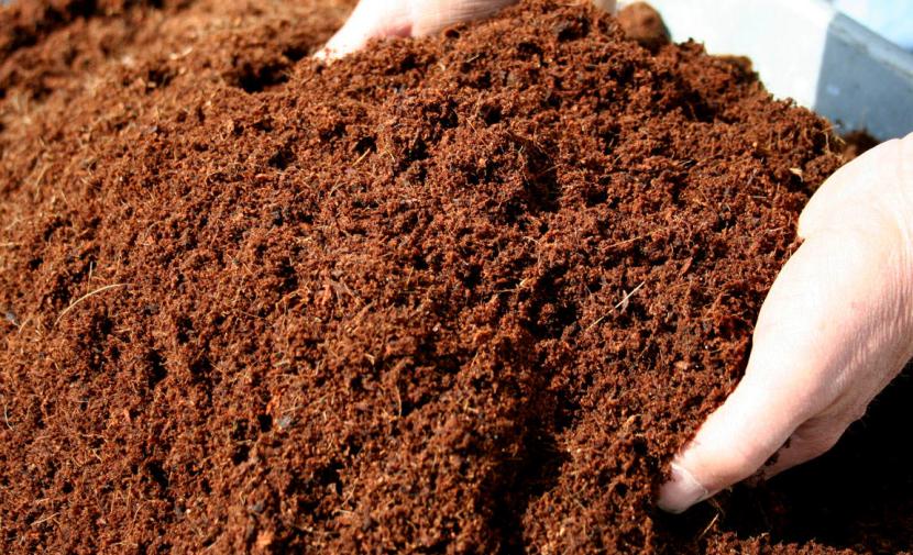 Fibra de coco hidratada y desmenuzada, lista para usar como sustrato