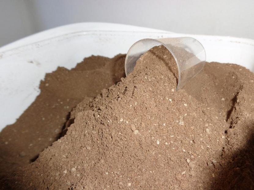 Guano de murciélago utilizado como abono natural