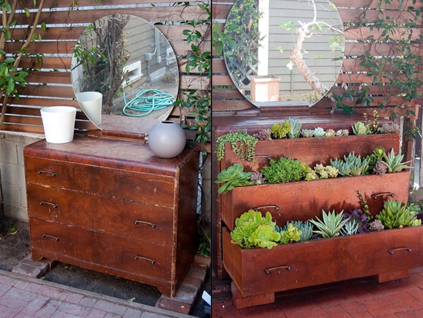 Cajones de cómoda reutilizados con plantas