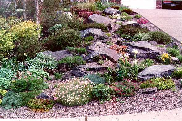 Rocalla con plantas entre piedras