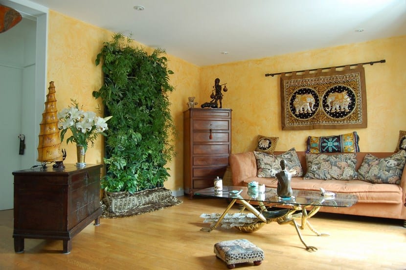 Plantas para un hogar feng shui: tradición y evidencia
