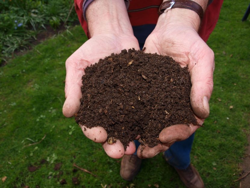 Compost maduro para abonar plantas