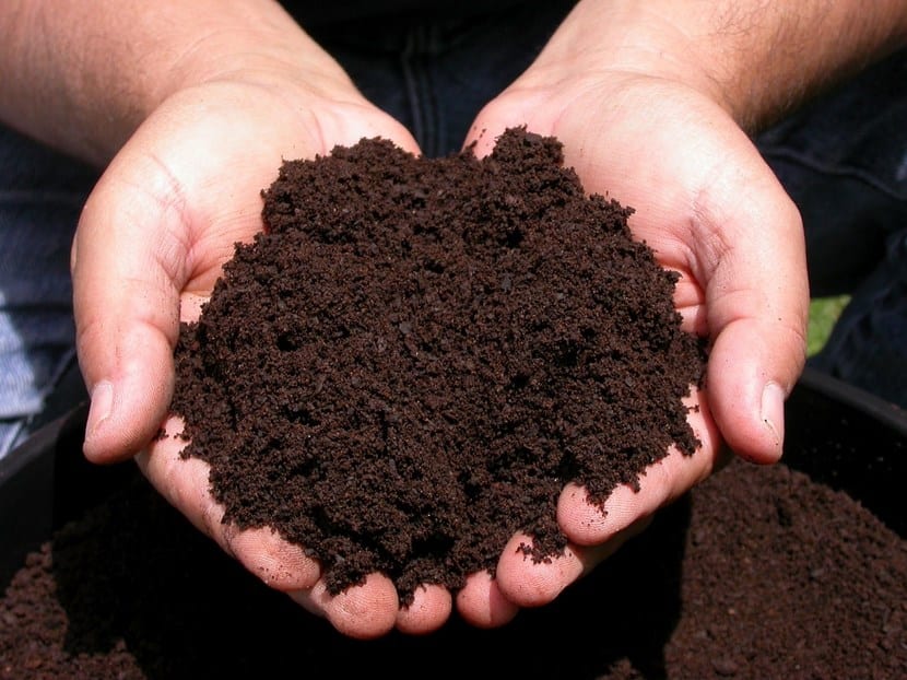 Compost y abono natural incorporado al suelo